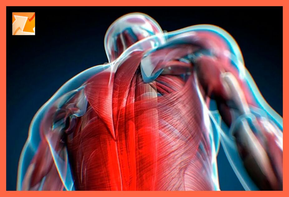 Fonctiounen vun Unerkennung